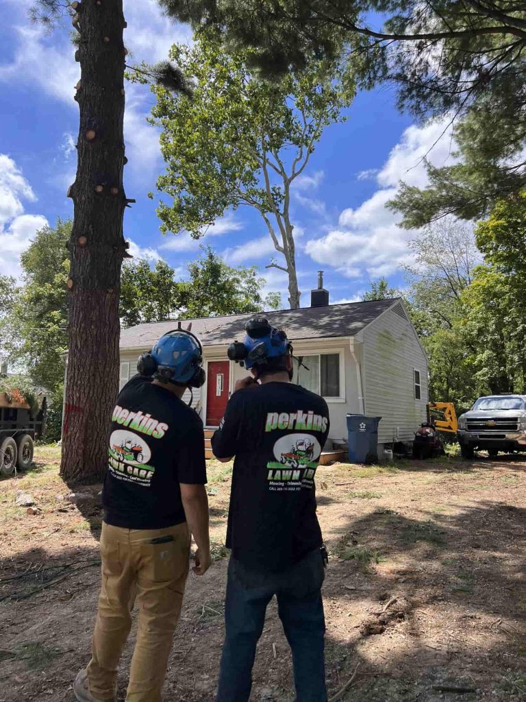 What Do Tree Services Charge Per Hour in Michigan
