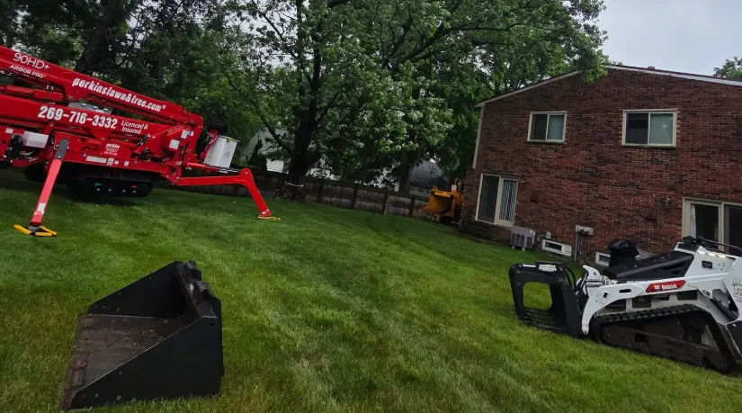 Tree Removal vs Tree Cutting