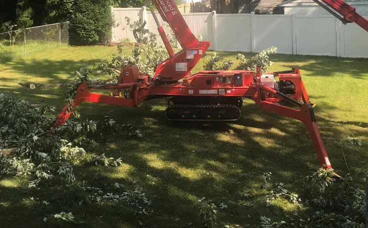 Does Tree Removal Include Cleanup