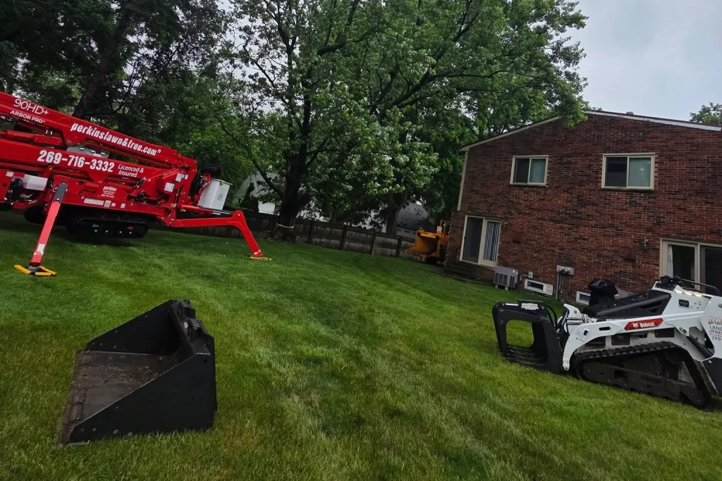 What Does a Diseased Tree Look Like in Kalamazoo, MI