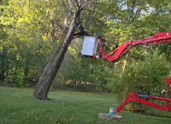 A professional tree service technician operating a yellow grapple loader to move a massive section of a tree trunk. The work is being performed by Perkins Lawn Care in a residential yard in Kalamazoo, MI. In the background, a large tree is being dismantled next to a house under a clear sky.