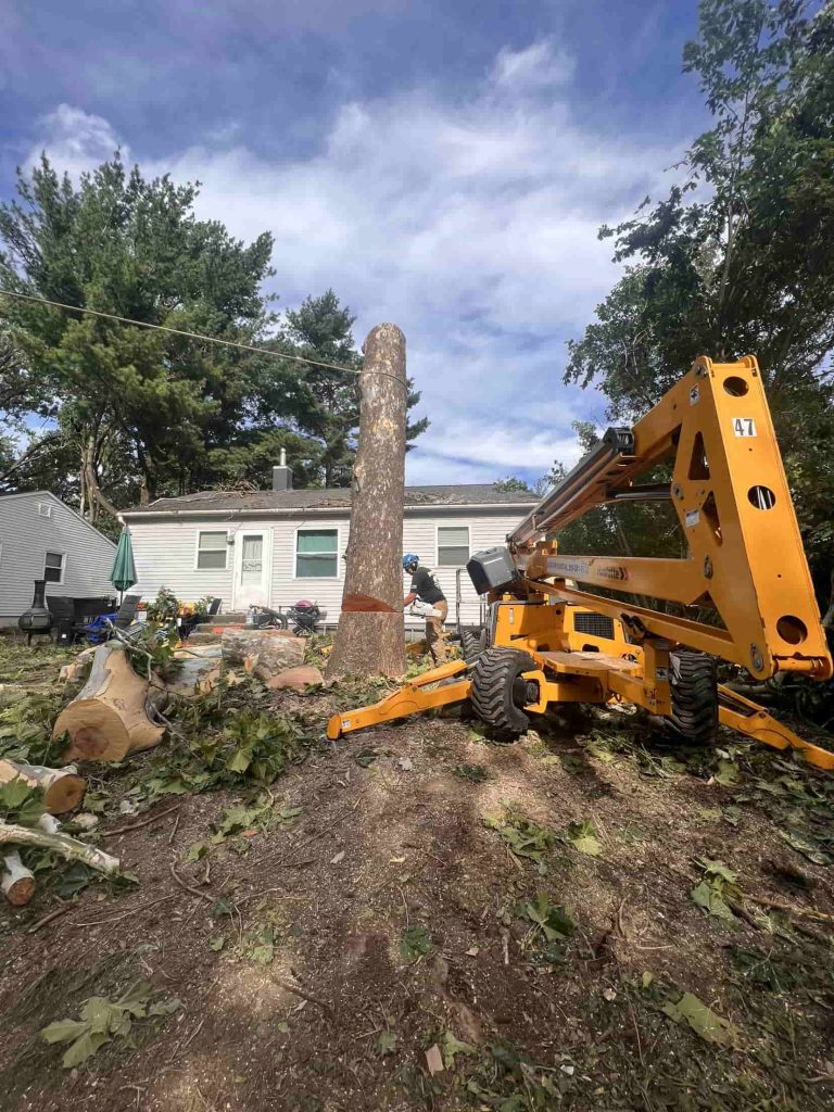 Tree Service Near Northern Heights Christian Church